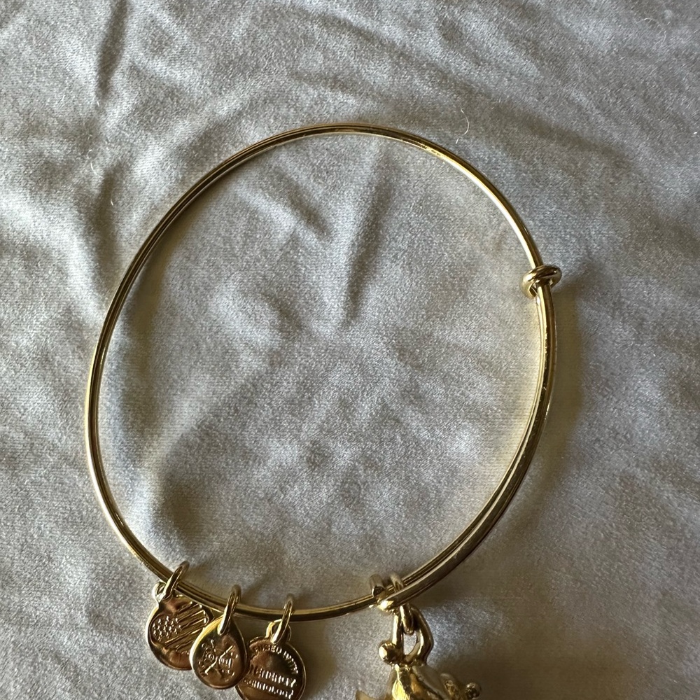 Alex and Ani Gold Charm Expandable Bracelet with Dangling Charms